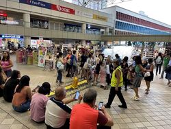 Hdb Hub (D12), Shop House #532053981